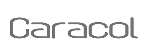 Caracol Jewellery + Handbags